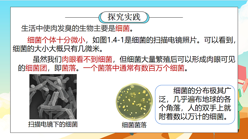 浙教版科学七下（2024）1.4《 微生物的结构与生殖》（第1课时） 课件第3页