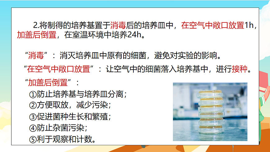 浙教版科学七下（2024）1.4《 微生物的结构与生殖》（第1课时） 课件第5页