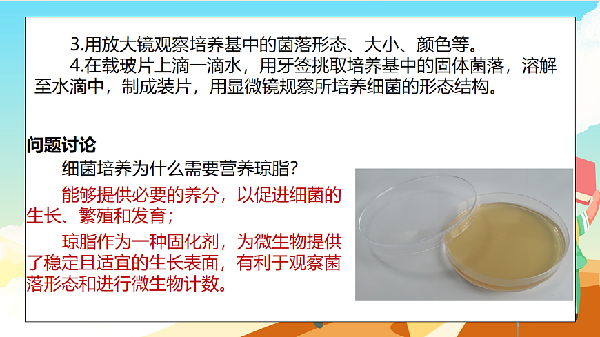 浙教版科学七下（2024）1.4《 微生物的结构与生殖》（第1课时） 课件第6页