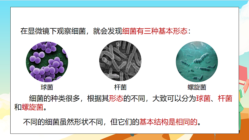 浙教版科学七下（2024）1.4《 微生物的结构与生殖》（第1课时） 课件第7页