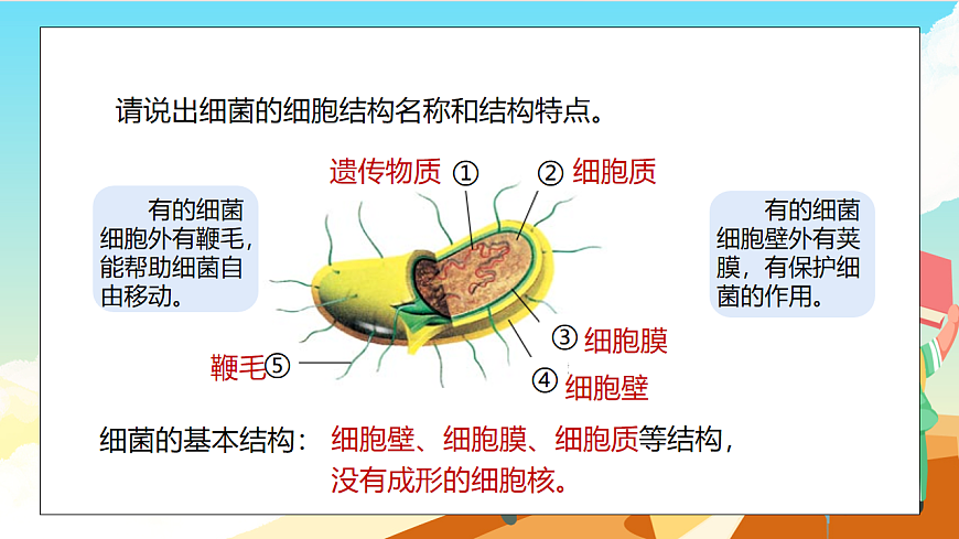 浙教版科学七下（2024）1.4《 微生物的结构与生殖》（第1课时） 课件第8页