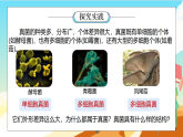 浙教版科学七下（2024）1.4《 微生物的结构与生殖》（第2课时）课件+教案+练习+视频