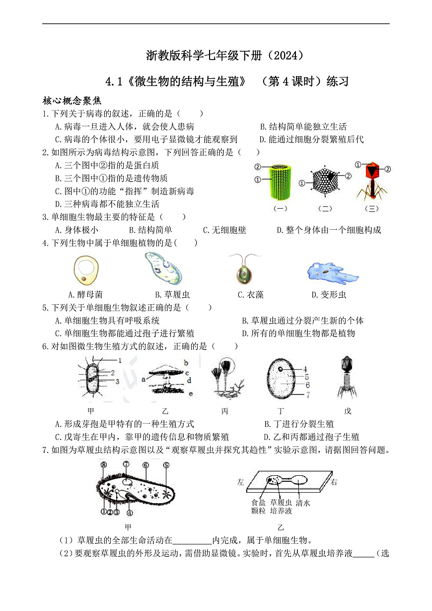 浙教版科学七下（2024）1.4《 微生物的结构与生殖》（第3课时）练习第1页