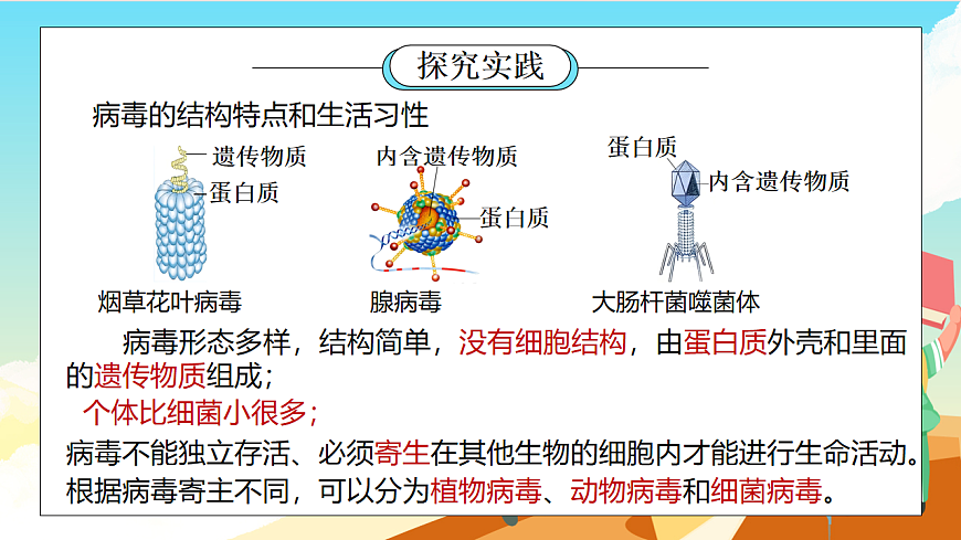 浙教版科学七下（2024）1.4《 微生物的结构与生殖》（第3课时）课件第3页