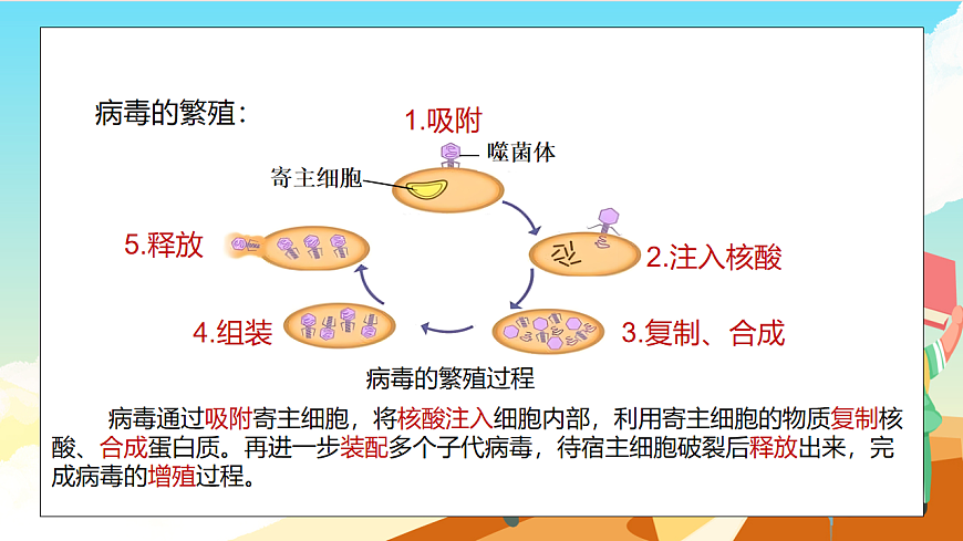 浙教版科学七下（2024）1.4《 微生物的结构与生殖》（第3课时）课件第5页