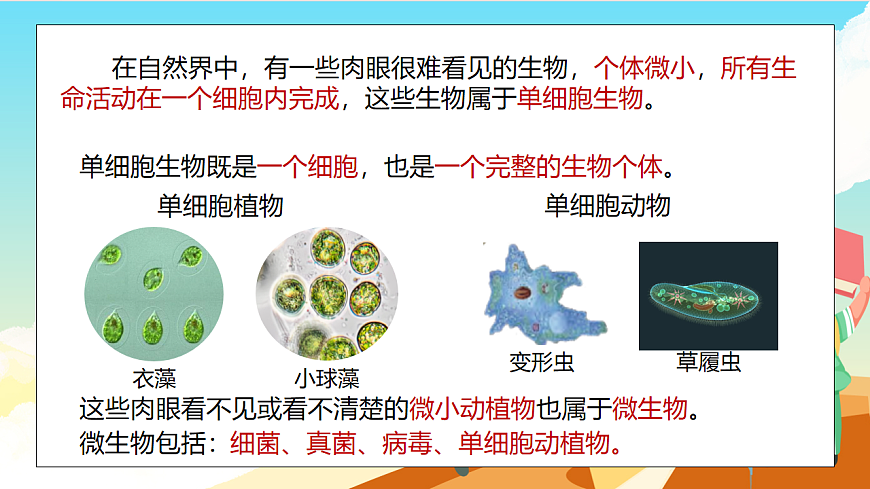 浙教版科学七下（2024）1.4《 微生物的结构与生殖》（第3课时）课件第6页