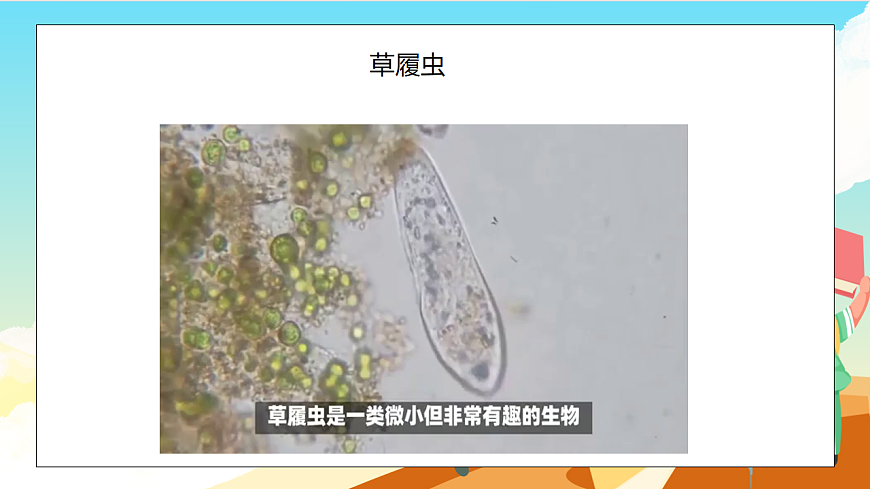 浙教版科学七下（2024）1.4《 微生物的结构与生殖》（第3课时）课件第7页