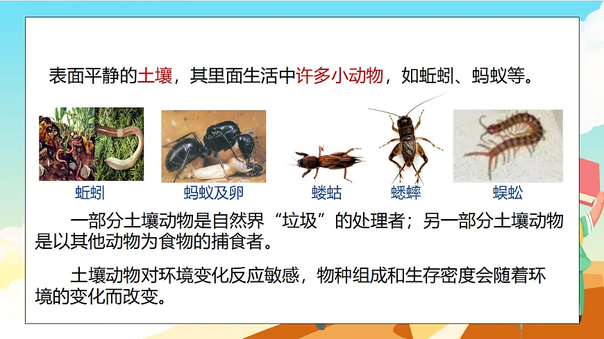 浙教版科学七下（2024）4.2《土壤的结构和质地》（第2课时）课件第5页