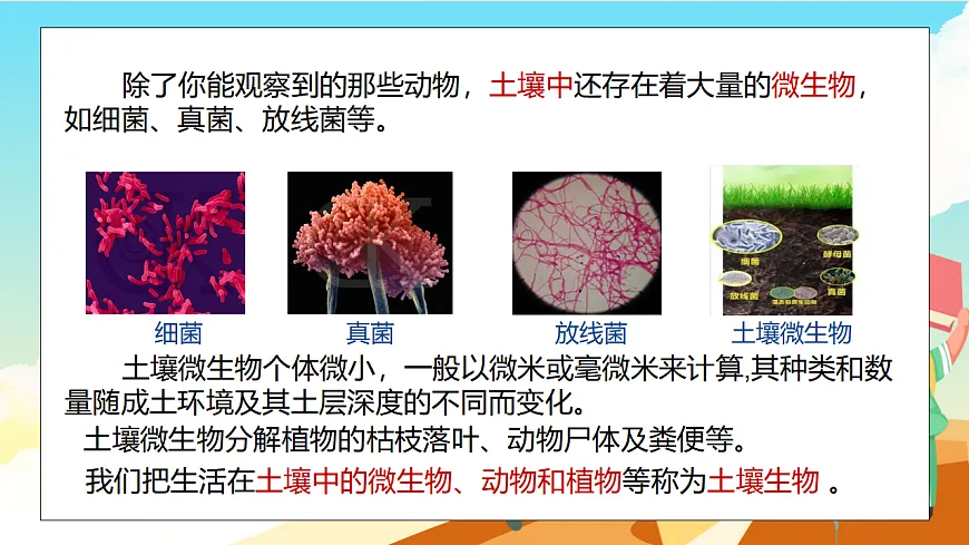 浙教版科学七下（2024）4.2《土壤的结构和质地》（第2课时）课件第6页