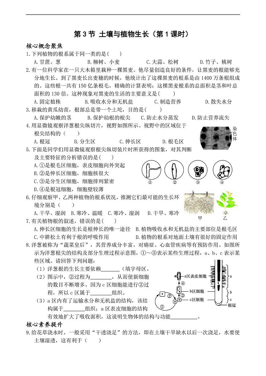 浙教版科学七下（2024）4.3《土壤与植物生长》（第1课时）练习第1页