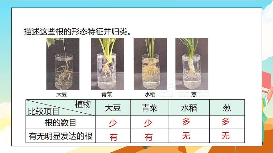 浙教版科学七下（2024）4.3《土壤与植物生长》（第1课时）课件第4页