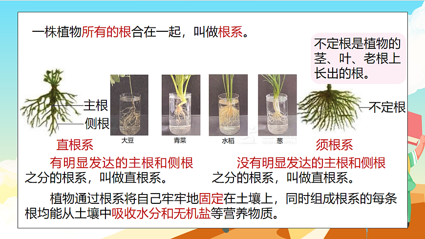 浙教版科学七下（2024）4.3《土壤与植物生长》（第1课时）课件第5页