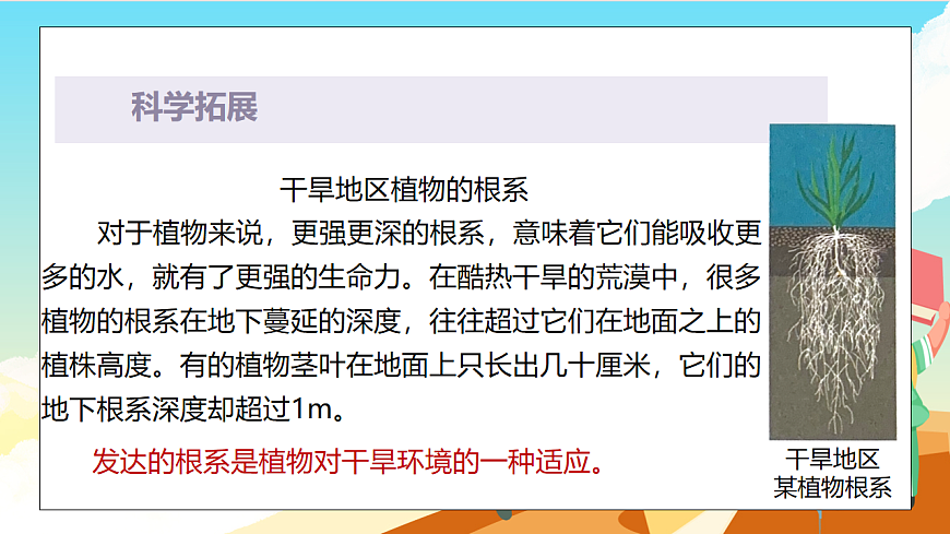 浙教版科学七下（2024）4.3《土壤与植物生长》（第1课时）课件第7页