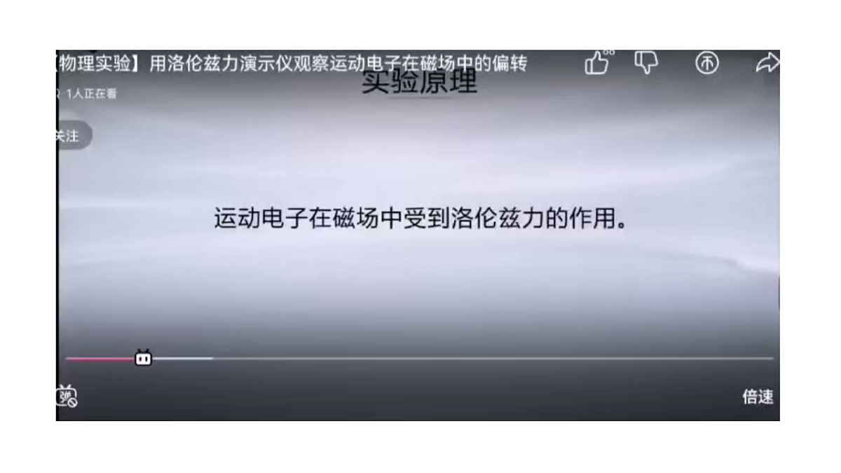 17574616第6页