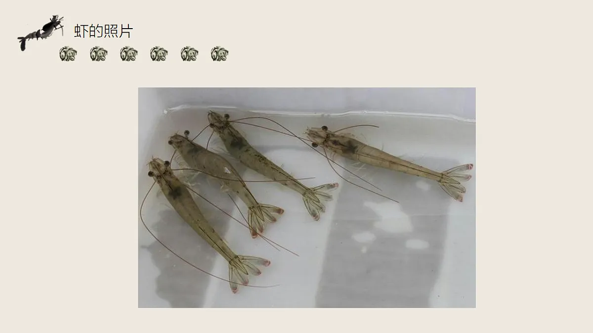 17574969第4页