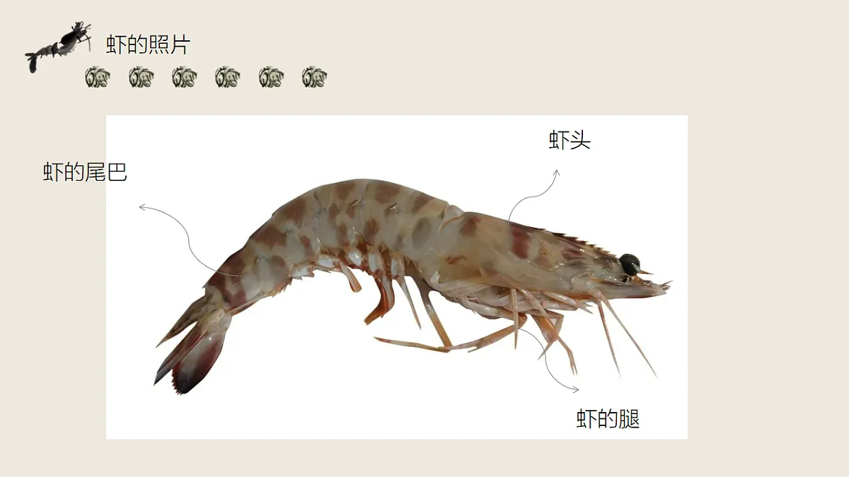 17574969第6页