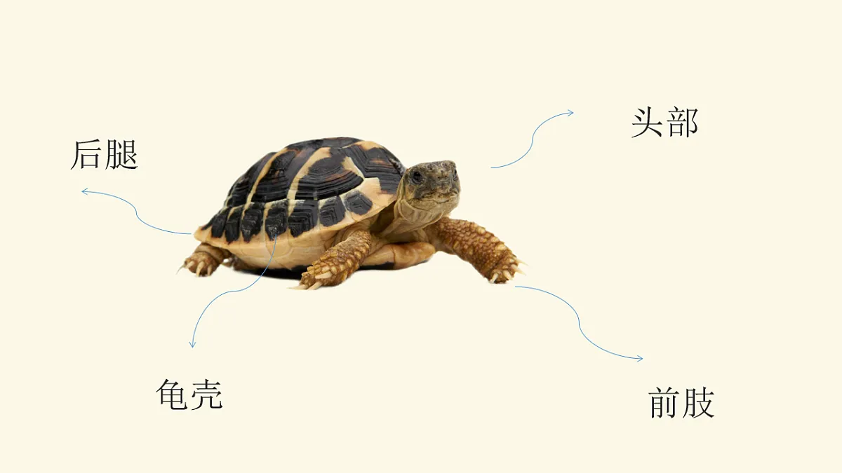 17574976第7页