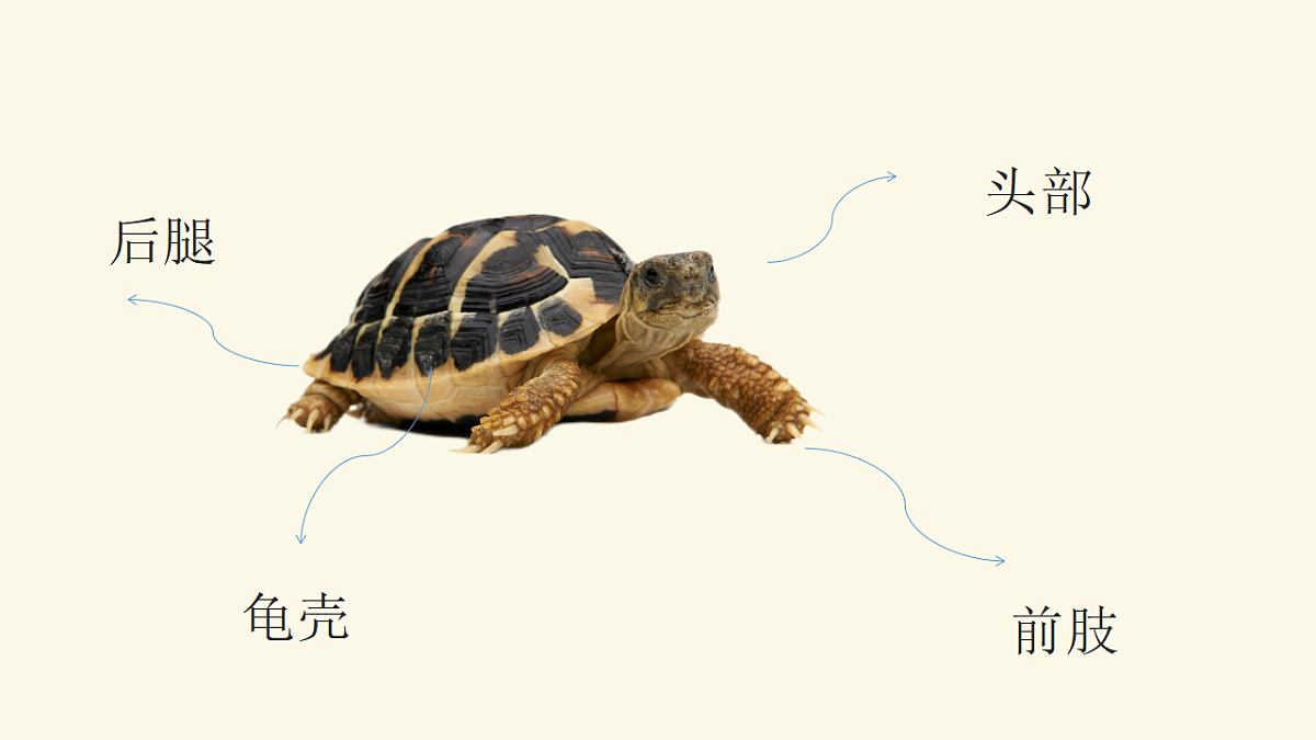 17574977第7页