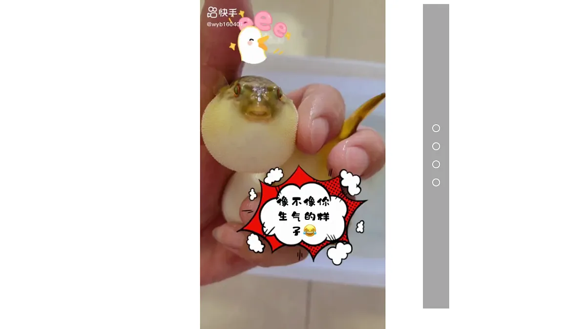 17574979第6页