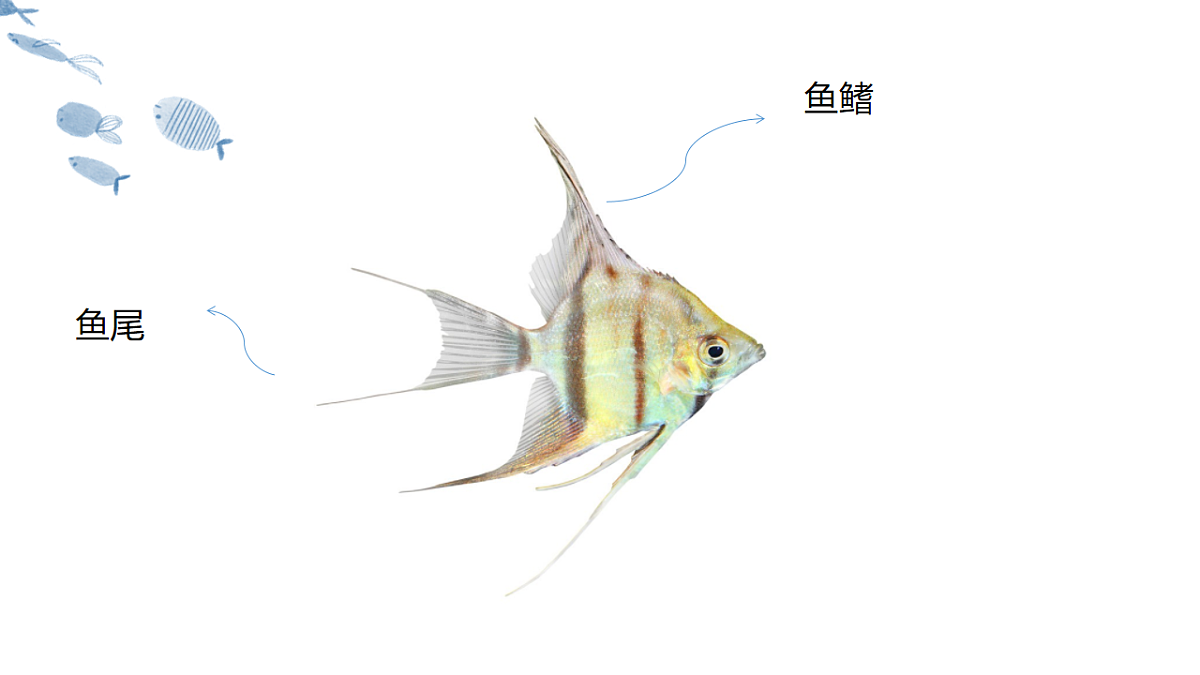 17574980第5页
