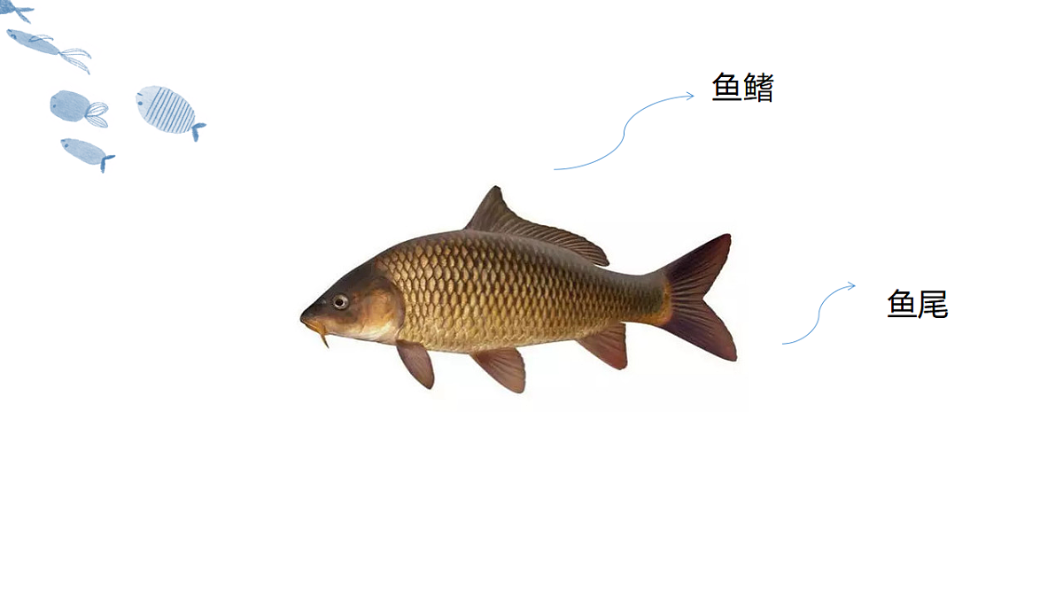 17574981第5页