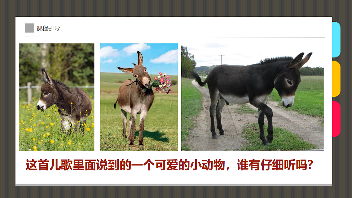 17574991第5页