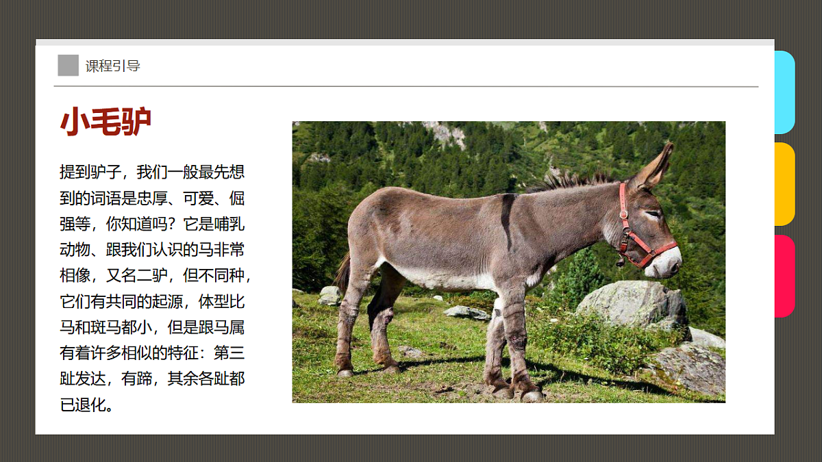 17574991第7页