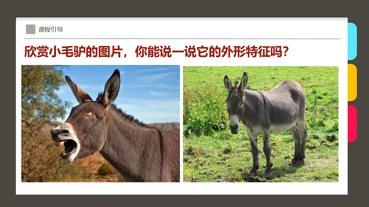 17574991第8页