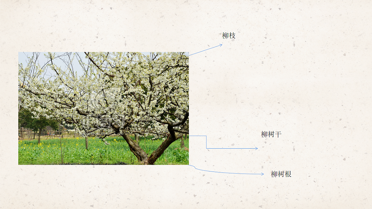 17575009第7页