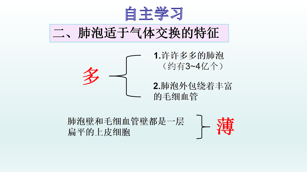 17575027第5页