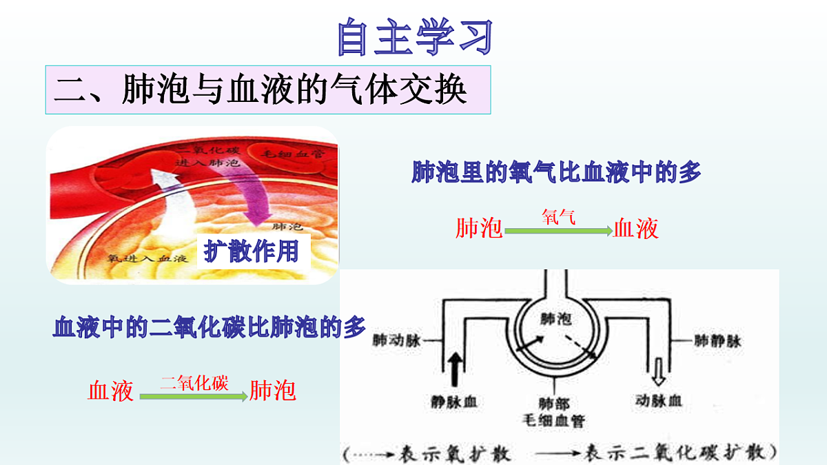 17575027第6页