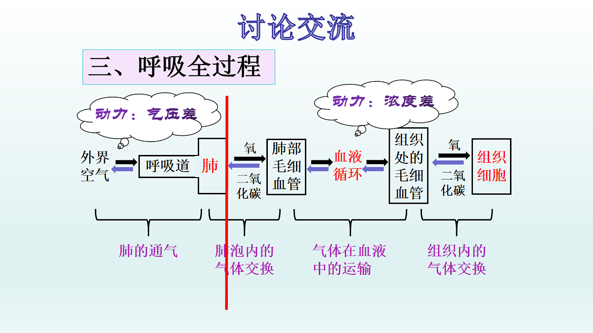 17575027第7页
