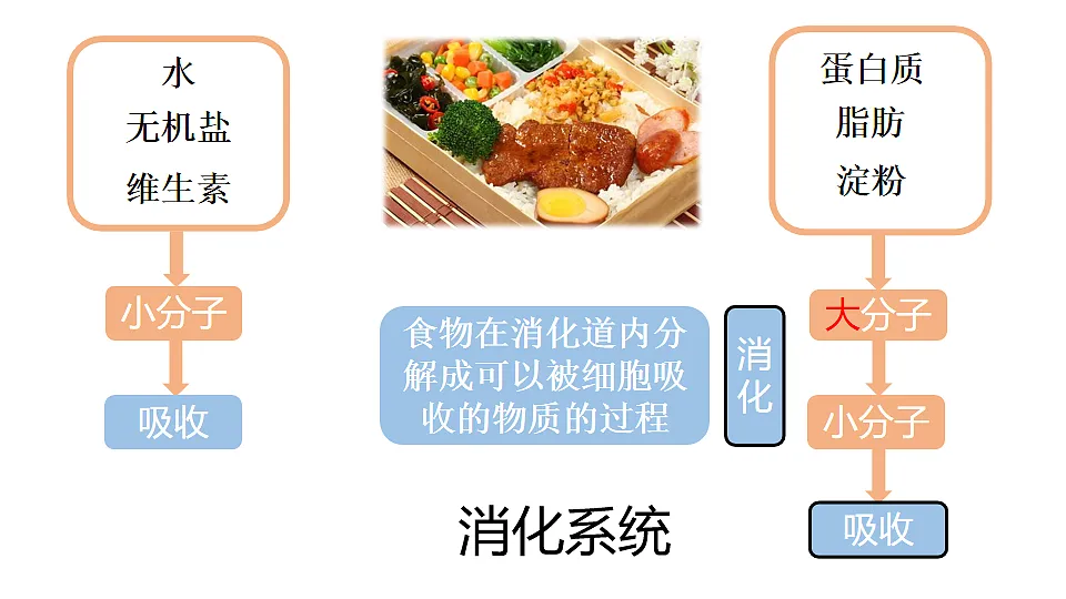 17575125第2页