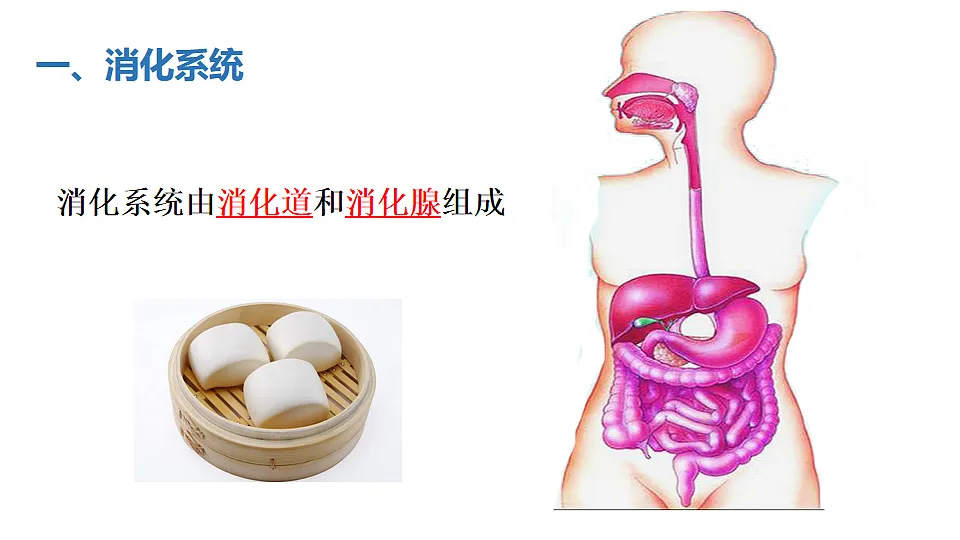 17575125第3页