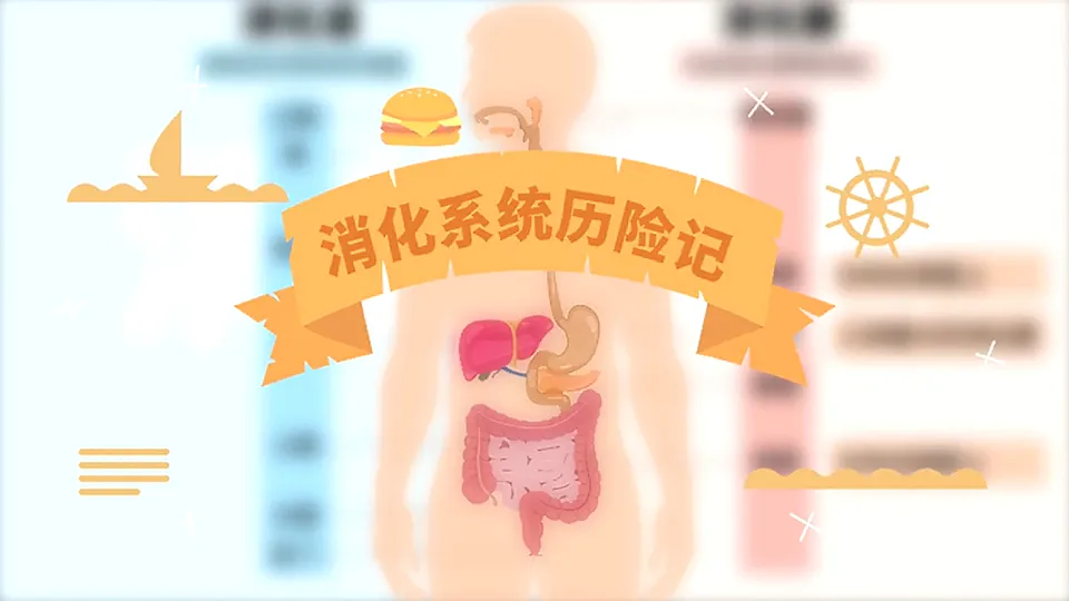 17575125第4页