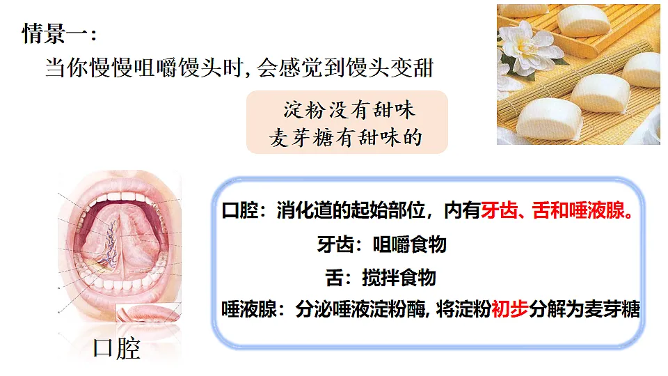 17575125第5页