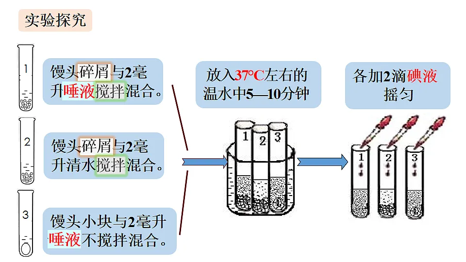 17575125第7页