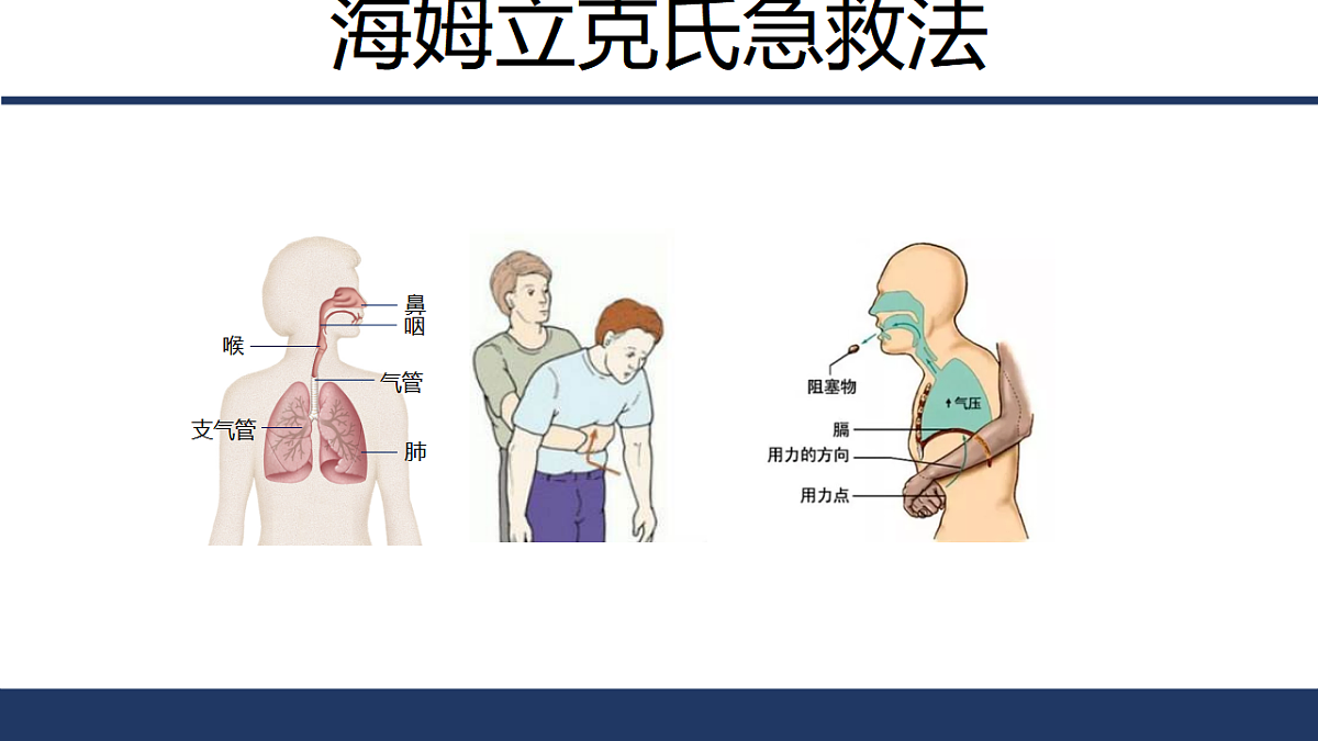 17575137第2页