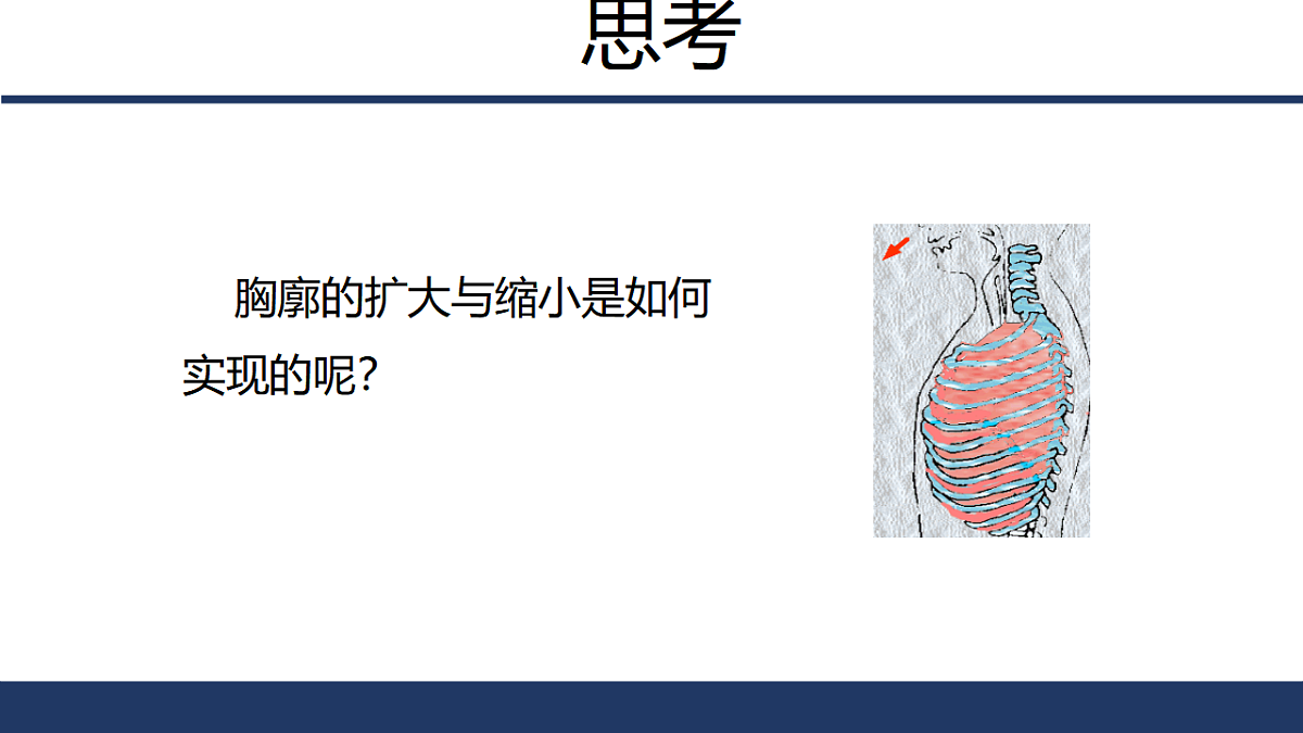 17575137第8页