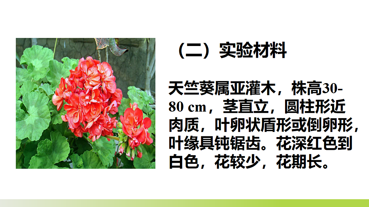 17575612第4页