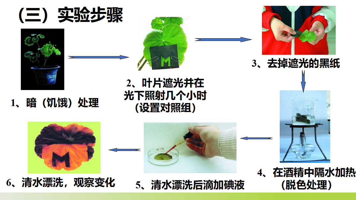 17575612第6页