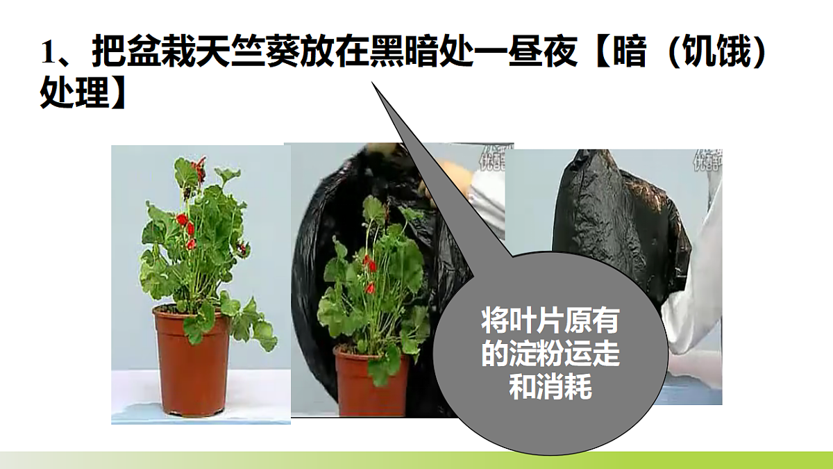 17575612第7页