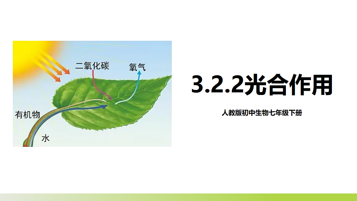 17575614第1页