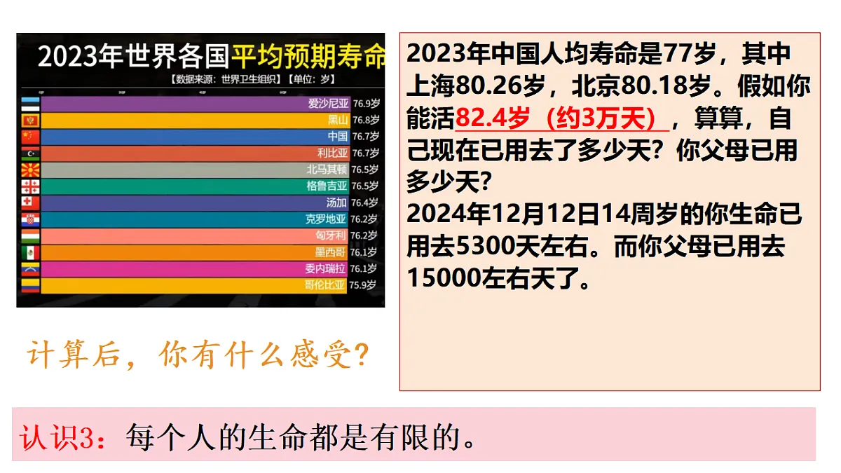17575967第6页