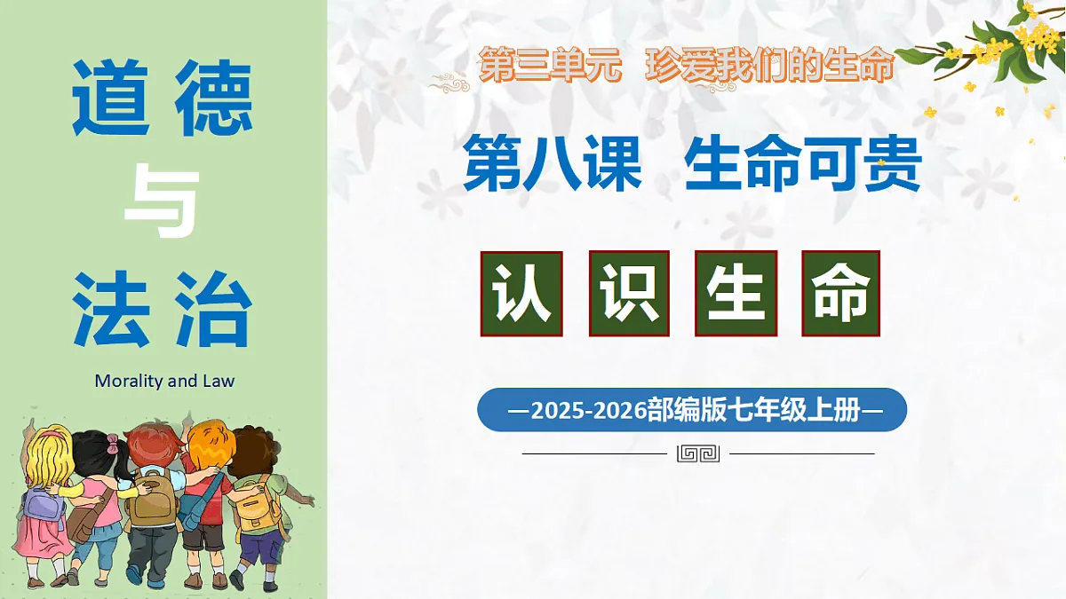 17575969第2页