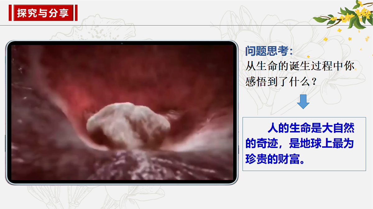 17575969第5页