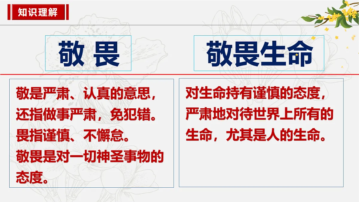 17575970第5页