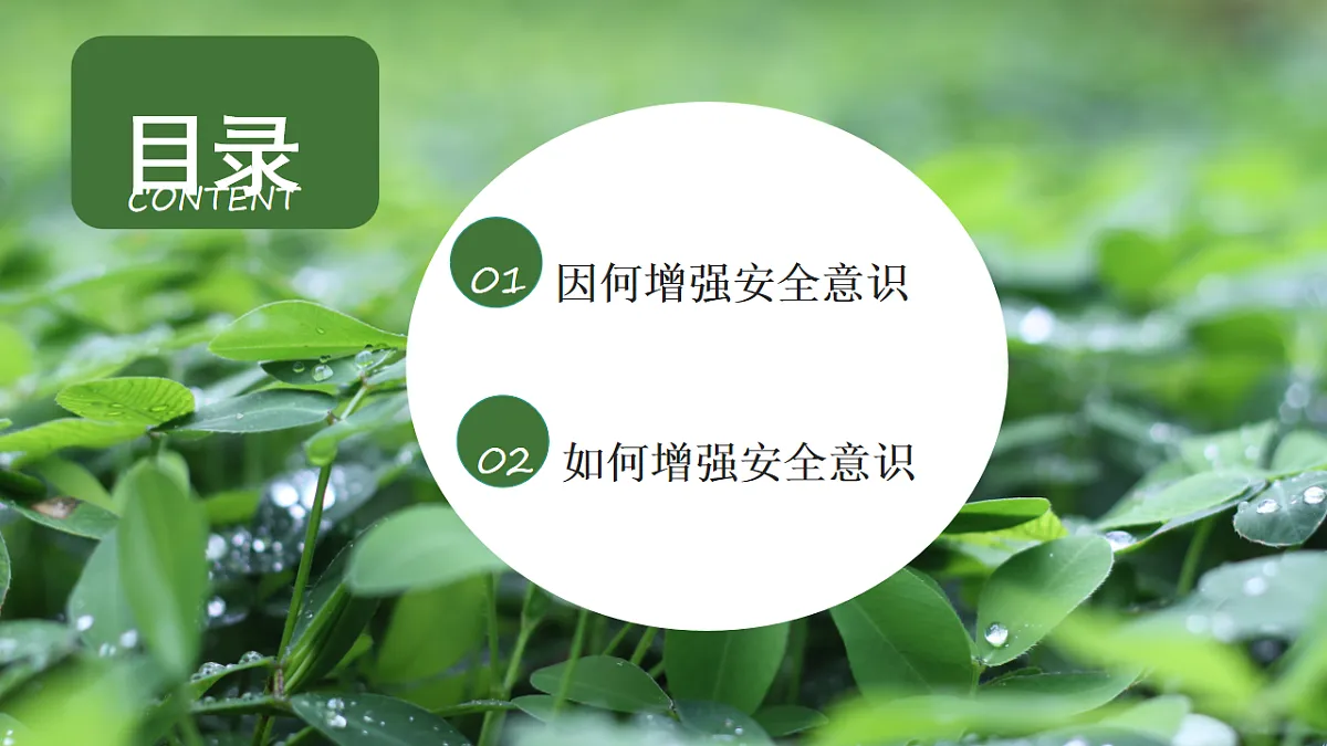 17575974第4页