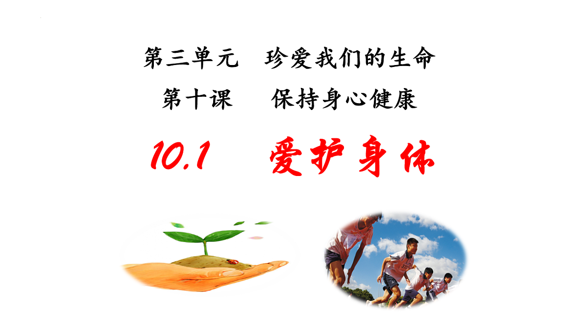17575978第2页
