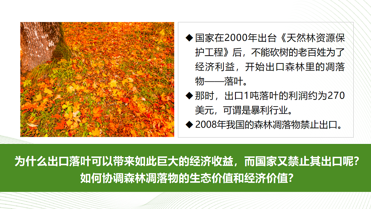 17577553第2页